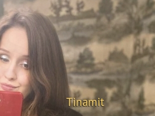 Tinamit
