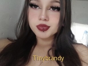 Tinybrandy