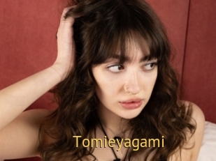 Tomieyagami