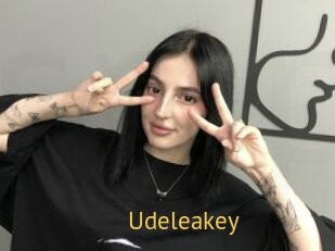 Udeleakey