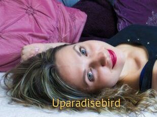 Uparadisebird