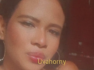 Uvahorny