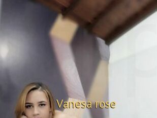 Vanesa_rose