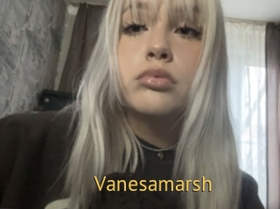 Vanesamarsh
