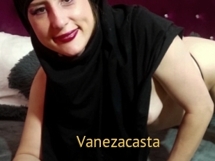 Vanezacasta
