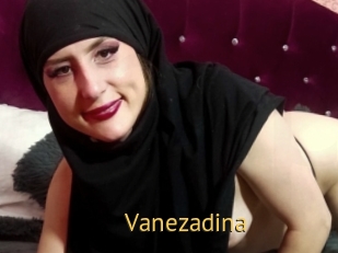 Vanezadina