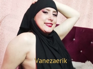 vanezaerik Smilin Pussy