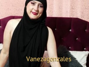Vanezagonzales