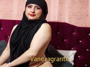 Vanezagrante