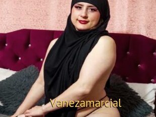 Vanezamarcial