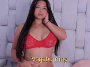 Vegaburning