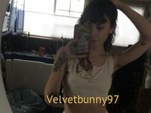 Velvetbunny97