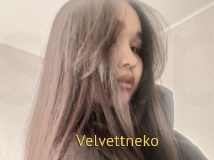 Velvettneko