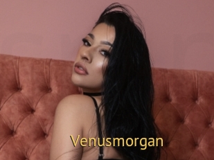 Venusmorgan