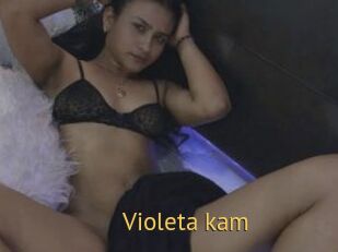 Violeta_kam
