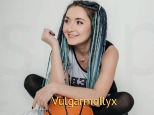 Vulgarmollyx