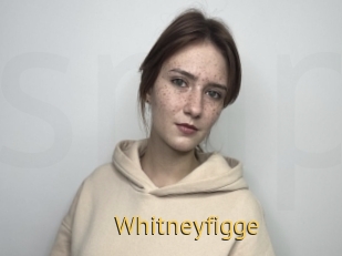 Whitneyfigge