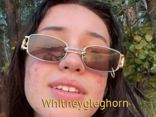 Whitneygleghorn