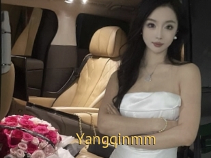 Yangqinmm