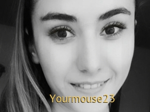 Yourmouse23