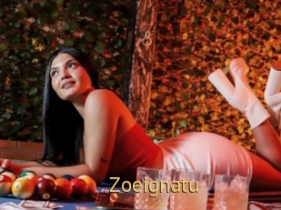 Zoeignatu