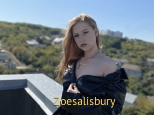 Zoesalisbury